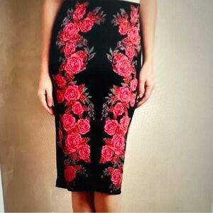 Anthropologie - Pull on Pencil skirt by Ekaterina Kuhareva